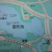 雲形池の中に鶴の噴水があります。南には藤棚が造られています。