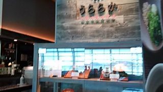 うどんが美味しいです