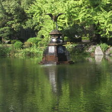 藤棚の下の休憩所から、鶴の噴水を撮影している様子です。