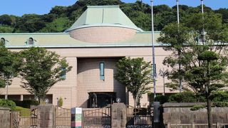 「桜島コレクション」