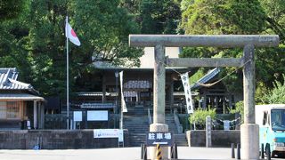 ツルガネジンジャ