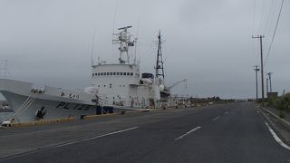 巡視船を間近に見ました