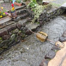 芋の皮を取る道具