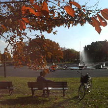 広々とした中で家族連れが多かったです。