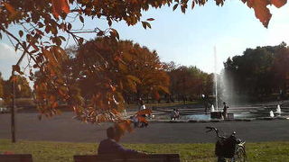 家族連れで遊ぶのにもちょうどいい紅葉の名所