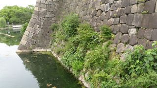 見事な扇の勾配など見応えがある