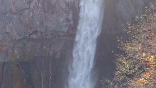 有料のエレベーターあり