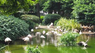 ここに来るとホッとする