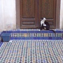 美しいタイルの装飾