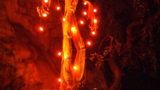 ハロウィン＆クリスマスシーズンがオススメ