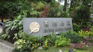 水あり、緑あり、そして鳥がいます