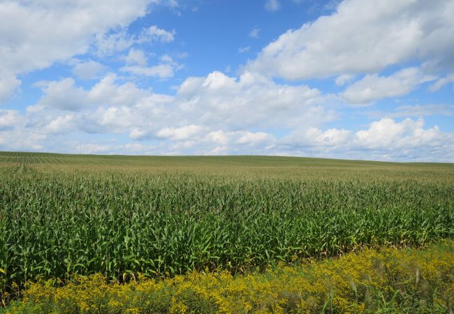 緩くうねる丘にトウモロコシ畑…でも2016年3月に廃止予定