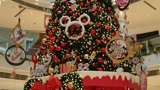 たくさんのクリスマスツリー