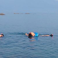 海遊びも出来ます。