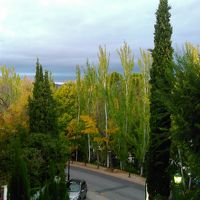 部屋から外を眺める