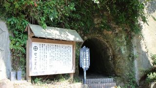 西郷洞窟から西郷さんの銅像へ向かうと