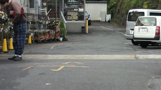 ＪＲ市ヶ谷駅の東側のお堀に、市ヶ谷フィッシュセンターがあります。