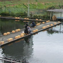 釣りを趣味にしている人も多くなっているようです。