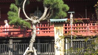 平成25年に150年ぶりくらいに復活したそうです