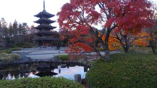 お寺でステンドグラスを仰ぎ見る