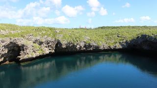 遊歩道は途中で終わっていました