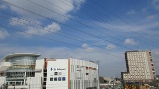 平日でもすごい人の波。