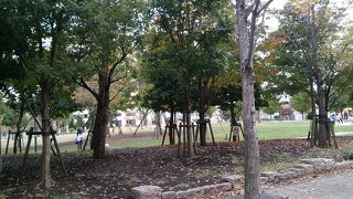 再開発により整備された公園