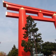 赤い鳥居の手前です