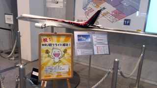 大人も楽しめる!!