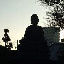 朝の大仏様