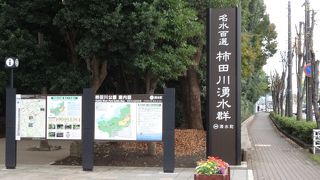 柿田川湧水群は不思議な感じです。