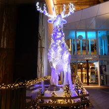 トナカイさんがいました。