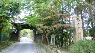 紅葉のベストシーズンまでもう少し