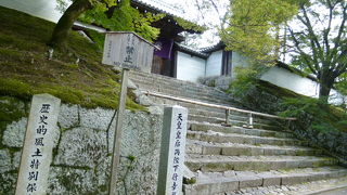 今年も最高の紅葉が観れます