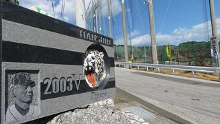 阪神ファンはぜひ！