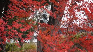 紅葉に埋もれるクラーク像
