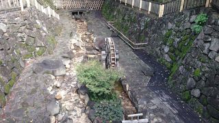 水がなくて 残念でした。