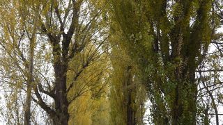 札幌の観光名所