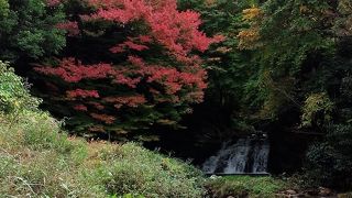 滝も渓流も見られる庭園