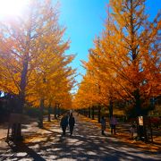 子供が良く遊べる公園