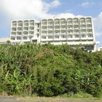 裏手の海岸から見上げたところです