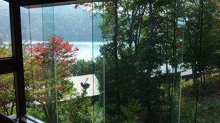 裏庭の素晴らしい紅葉に感動