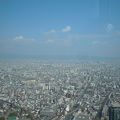 日本一高い建物から見る景色は壮大でした。