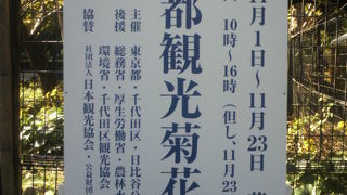 東京都観光菊花大会が、日比谷公園の草地広場で開催されていました。