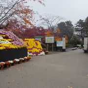 弘前城　菊と紅葉祭り