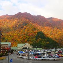 美術館からの眺め（トロッコ電車駅前）