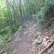 道自体はしっかりしているところが多かったです。