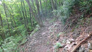 地図なく歩くのは困難かも。