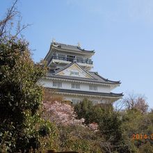 模擬天守であるのが残念