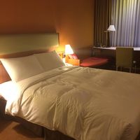 一人では十分な広さのお部屋。清潔でした。